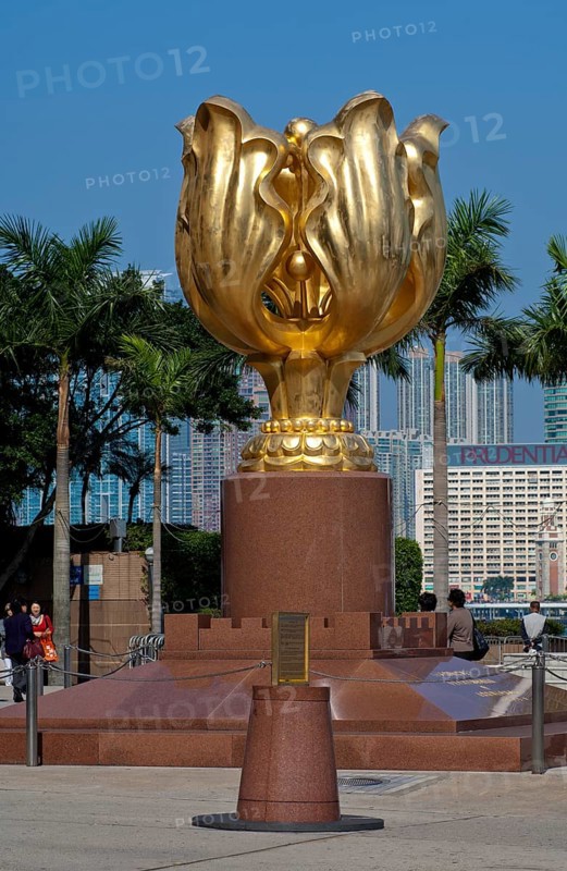 Sculpture of a gilded eternal Bauhinia flower