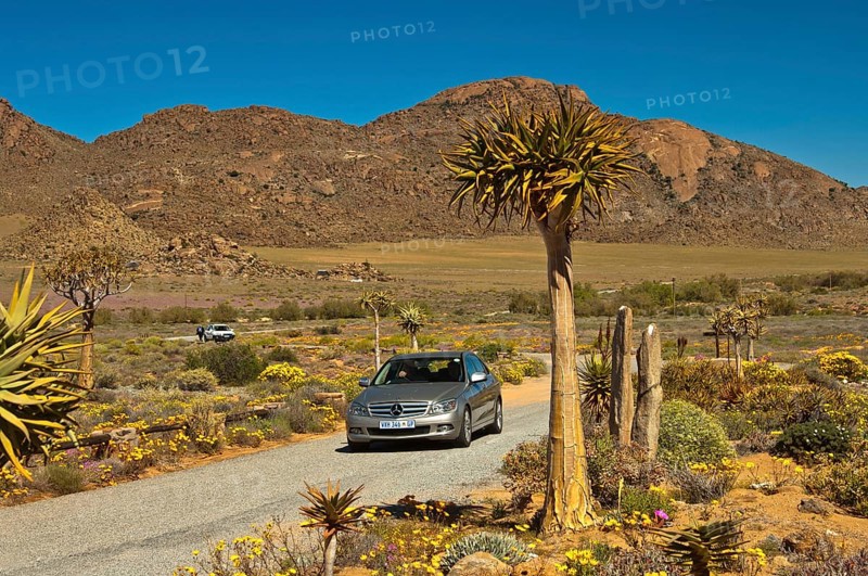 Tarmac road and cars at the entrance to car park for visitors