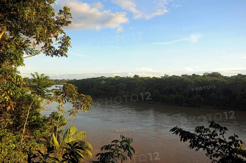 Landscape alongside the Tambopata River