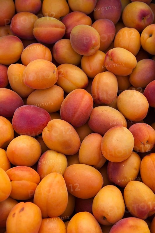 Apricots