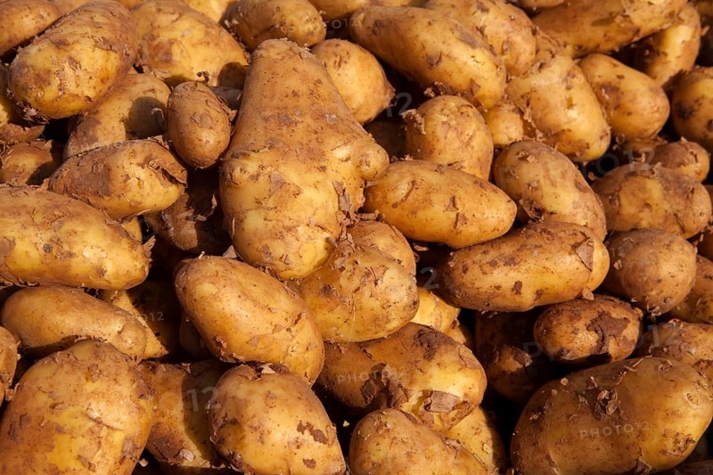 New potatoes (Solanum tuberosum)