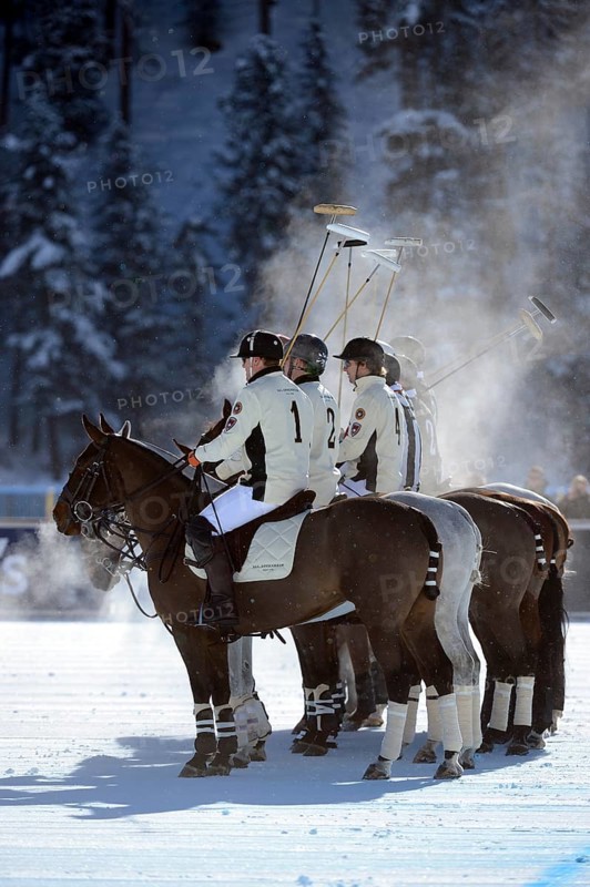 Polo tournament