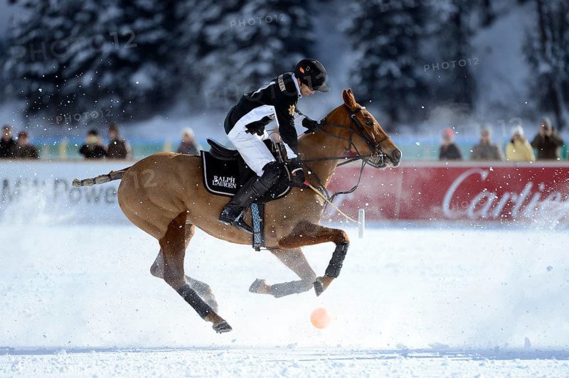 Polo tournament