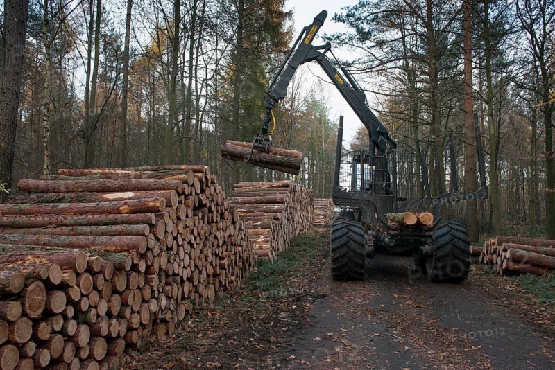 Forestry forwarder harvesting timber