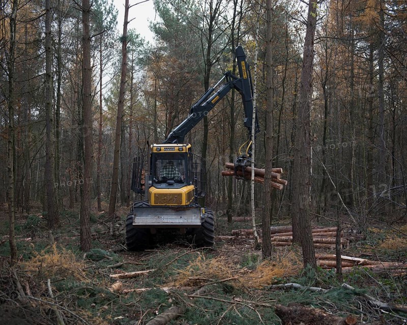 Forestry forwarder harvesting timber