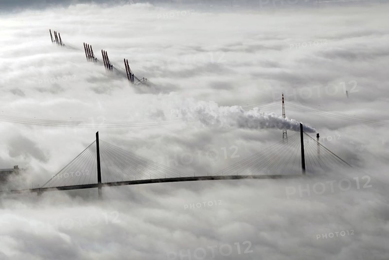 Koehlbrand Bridge in the fog