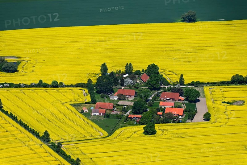 Village of Bakendorf amidst flowering fields of rape