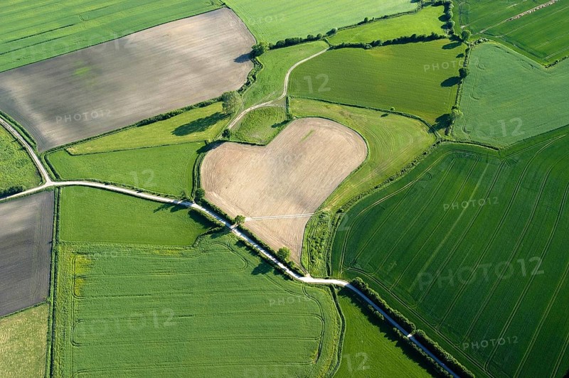 Aerial view of a heart-shaped field