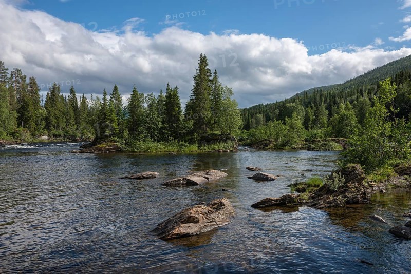 Landscape with the salmon river of Namsen