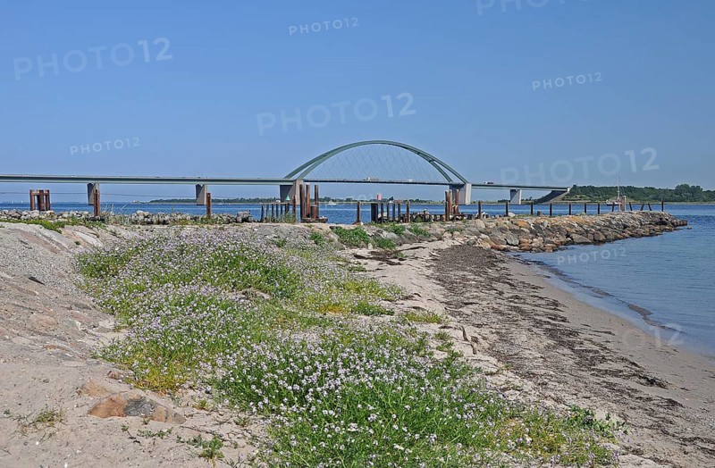 Fehmarn Sound Bridge