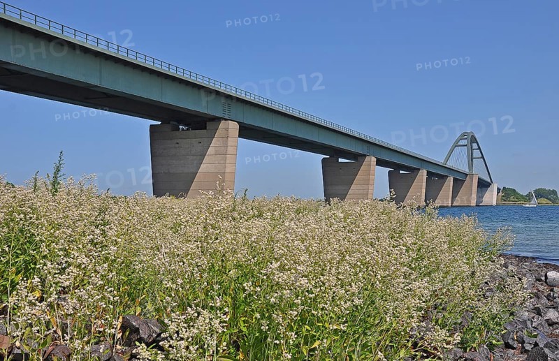 Fehmarn Sound Bridge