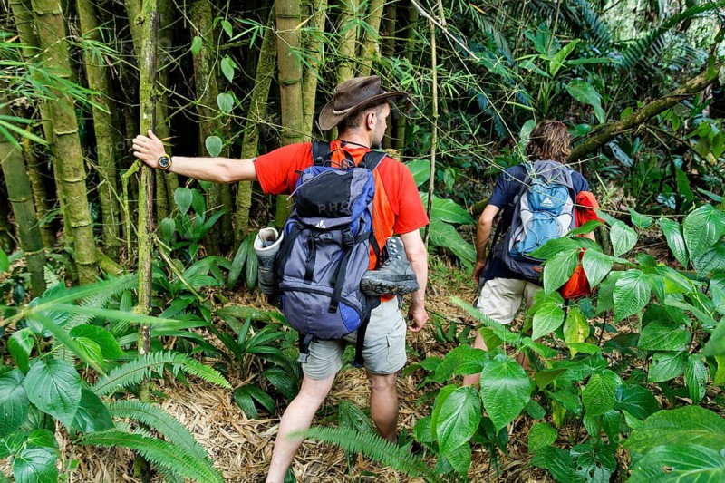 Tourists during jungle trekking hike