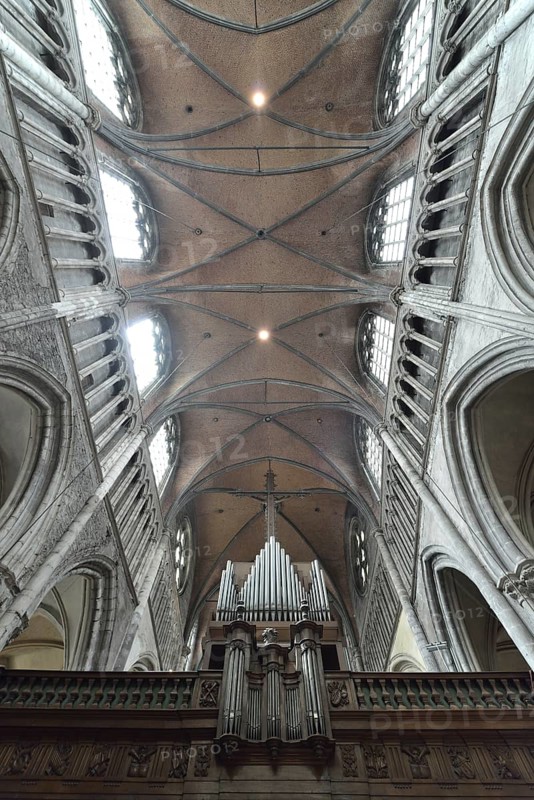Organ and vaulted ceiling