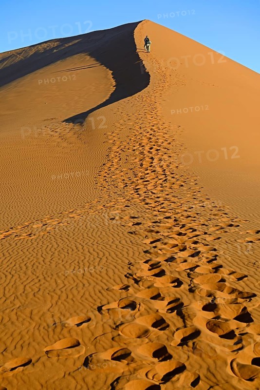 Tourists climbing Dune 45 in the evening light