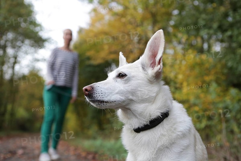 Woman outdoors with a dog on a leash