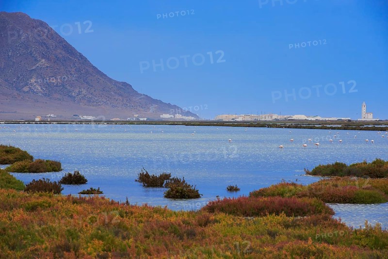 Almadraba de Monteleva