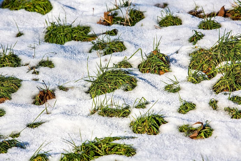 Thaw