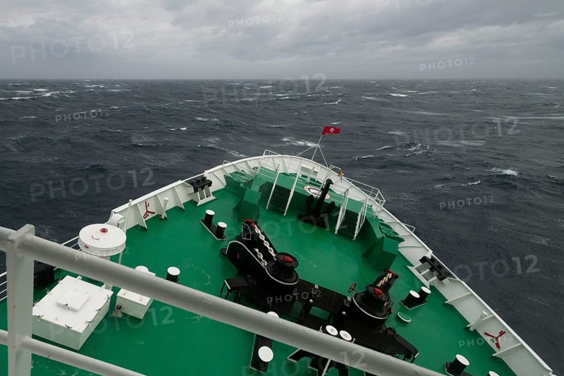 MS Expedition