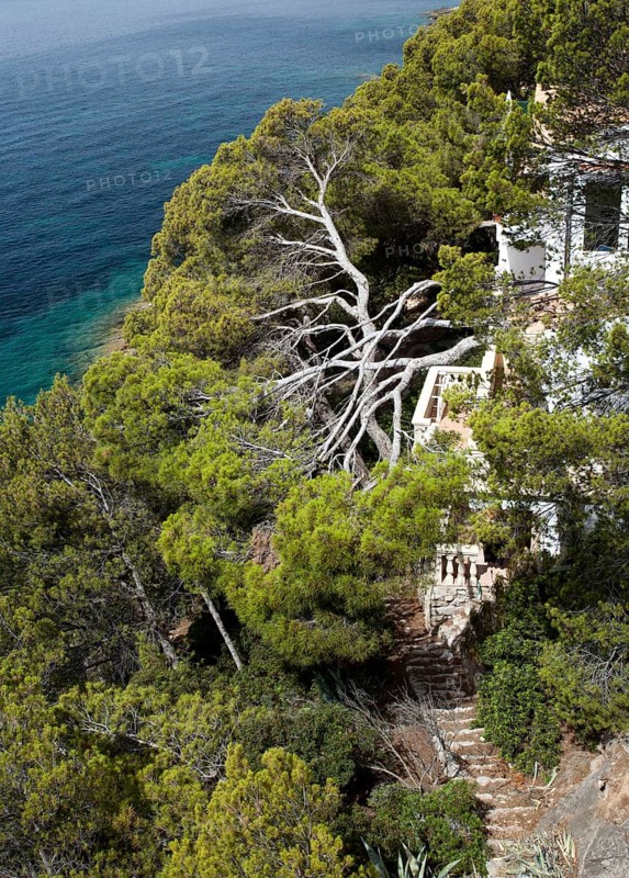 Overgrown cliff-lined bay
