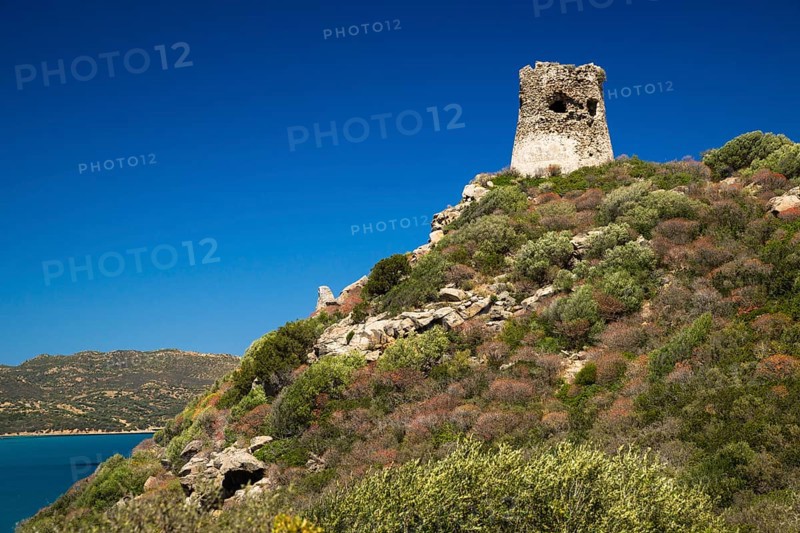 Saracen Tower on the coast
