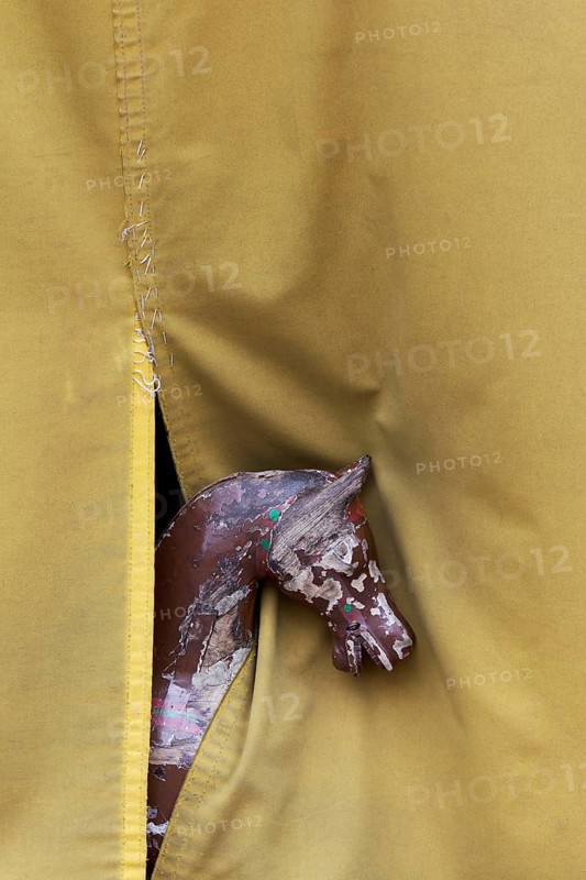Old carousel horse looking out underneath a tarpaulin