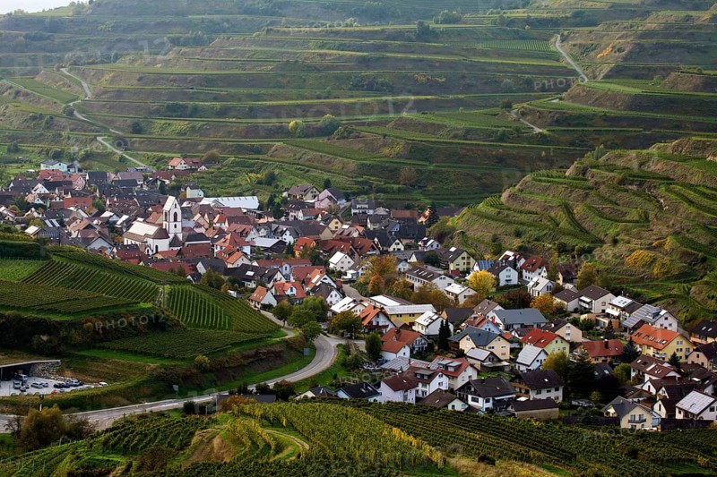 Village surrounded by vineyards