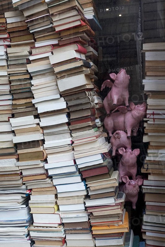Stacked books and decorative pigs in a shop window