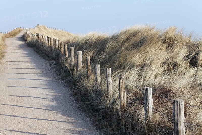 Walkway through the dunes on the North Sea coast