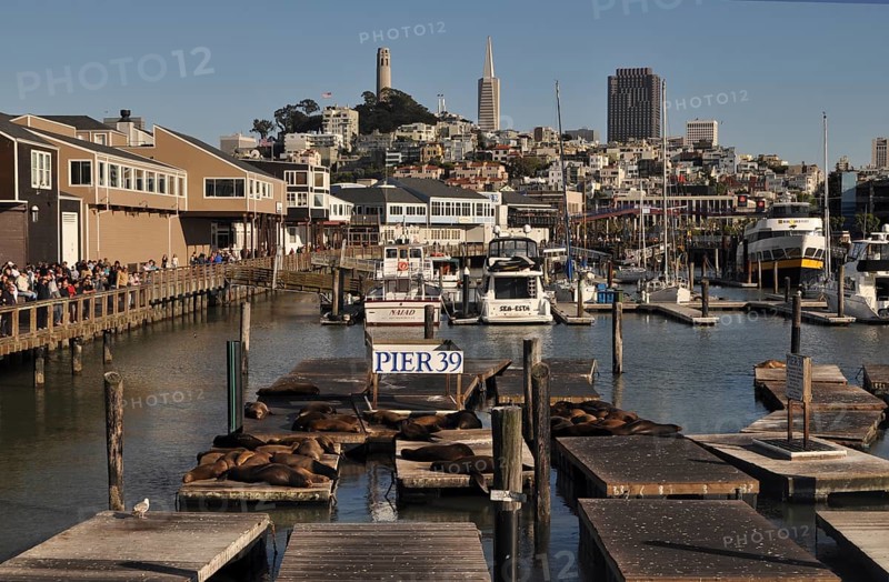 Pier 39. Coit Tower and Transamerica Building in the backdrop
