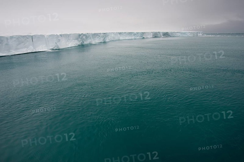 Brasvellbreen