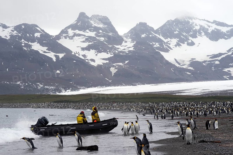 Crew of an expedition cruise ship in a zodiac inflatable boat