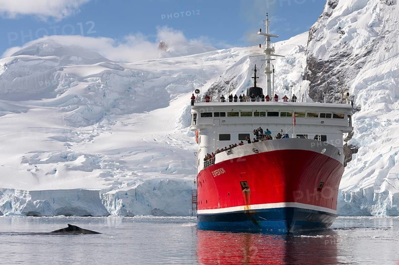 Humpback whale and the expedition cruise ship MS Expedition