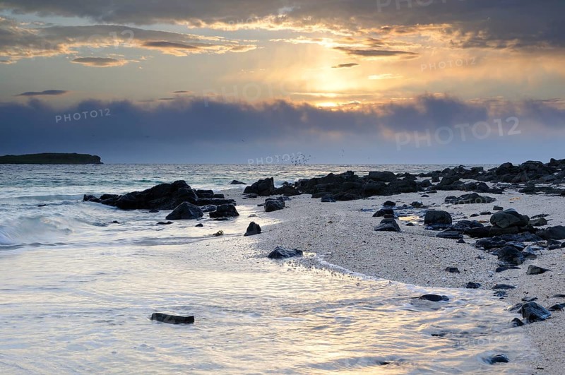 Coastal landscape with rocks and shellbearing limestone in the evening light