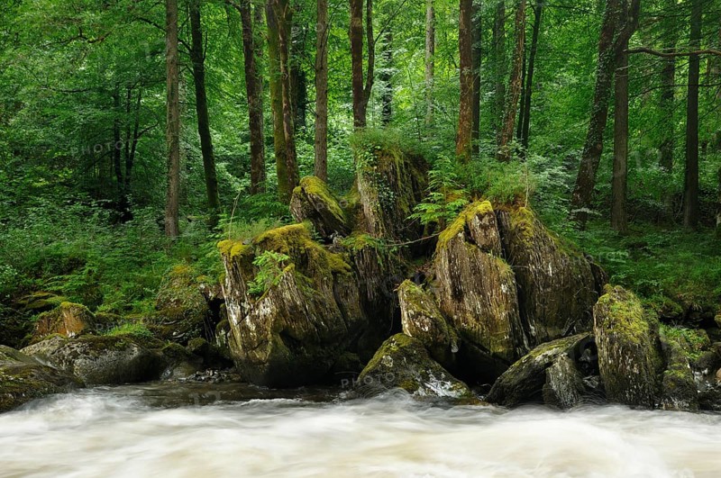 Rocks at the River Llugwy or Afon Llugwy
