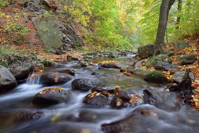 Ilse River in autumn
