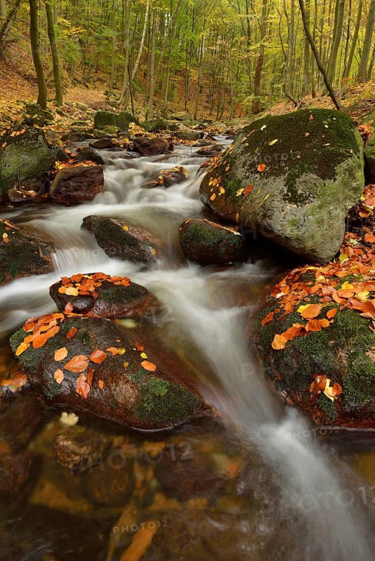 Ilse River in autumn
