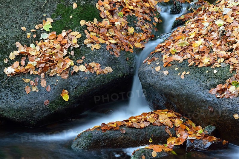 Ilse River in autumn