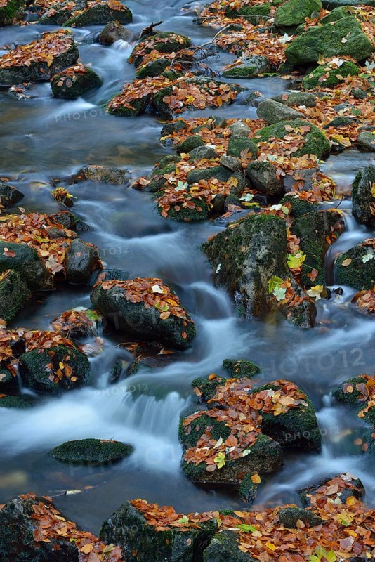 Ilse River in autumn