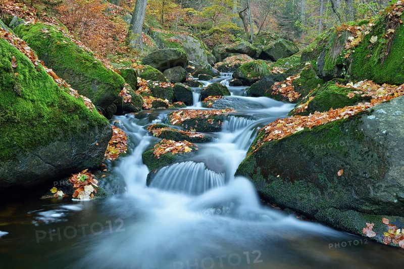 Ilse River in autumn
