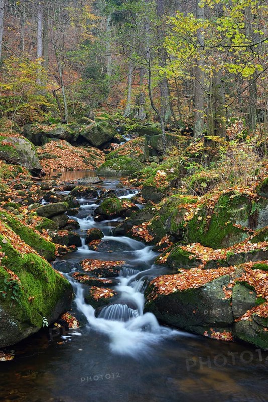 Ilse River in autumn