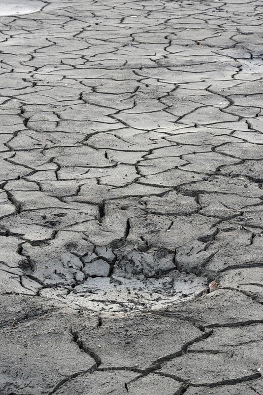 Cracked bed of a drained carp pond in autumn
