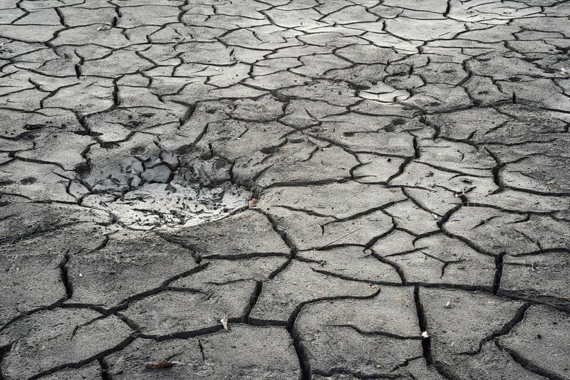 Cracked bed of a drained carp pond in autumn