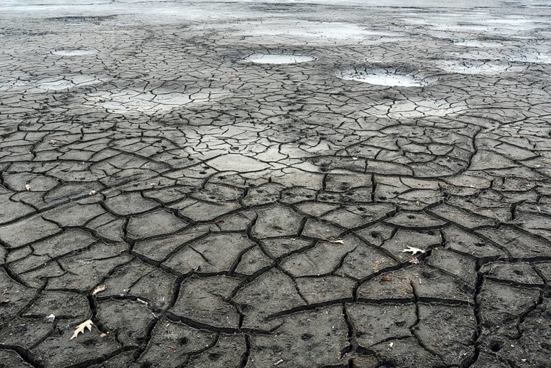 Cracked bed of a drained carp pond in autumn