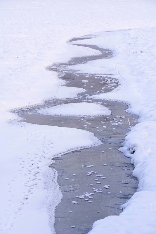 Snow and ice in a drained carp pond