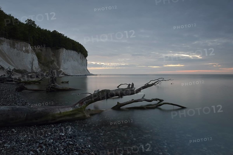Steep coast with chalk cliffs at sunrise