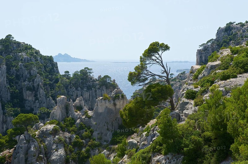 Karst rocks in the rocky bay Calanque d'En-Vau