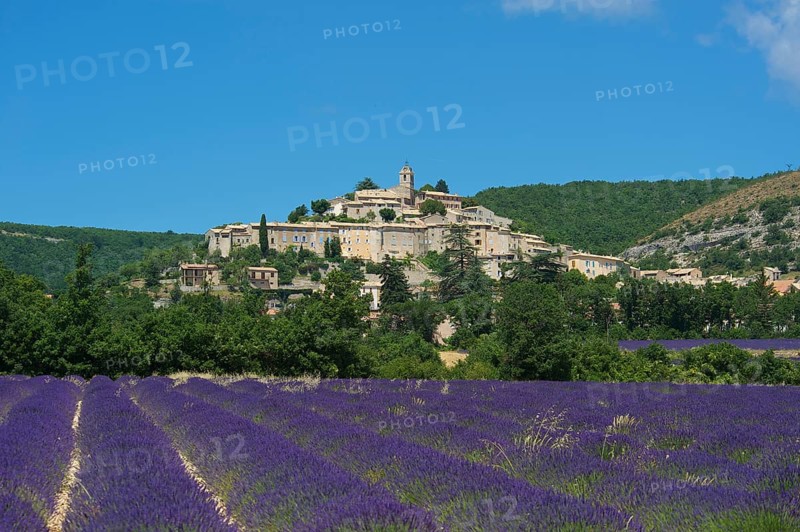View over a lavender field towards the village