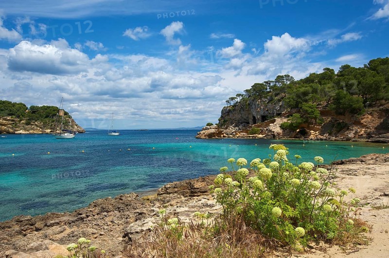 Bay Cala Portals Vells