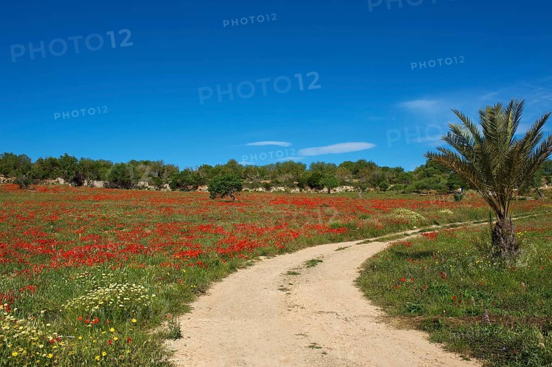 Field path
