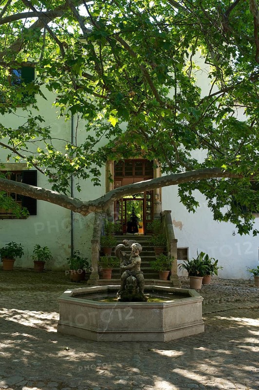 Courtyard with a fountain
